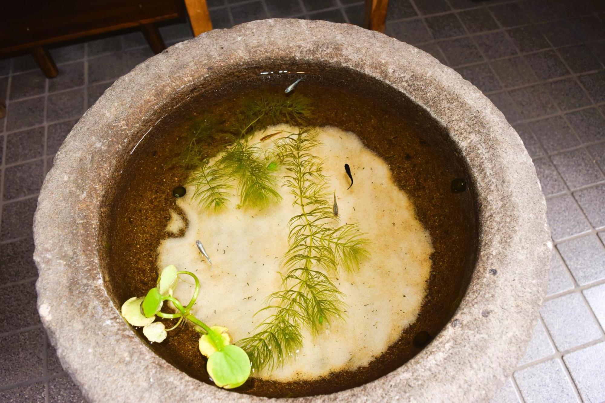 Atagoya Villa Takayama  Eksteriør bilde